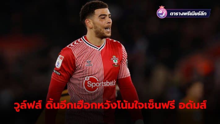 Wolves have made an offer to Che Adams after negotiating a new contract with Southampton